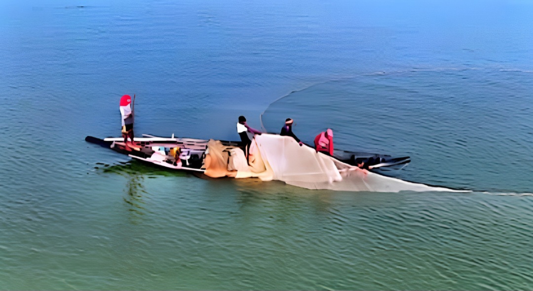 মন্ত্রীর নির্দেশনা অমান্য করে ‘খাস কালেকশনের’ নামে টাকা আদায়ের অভিযোগ